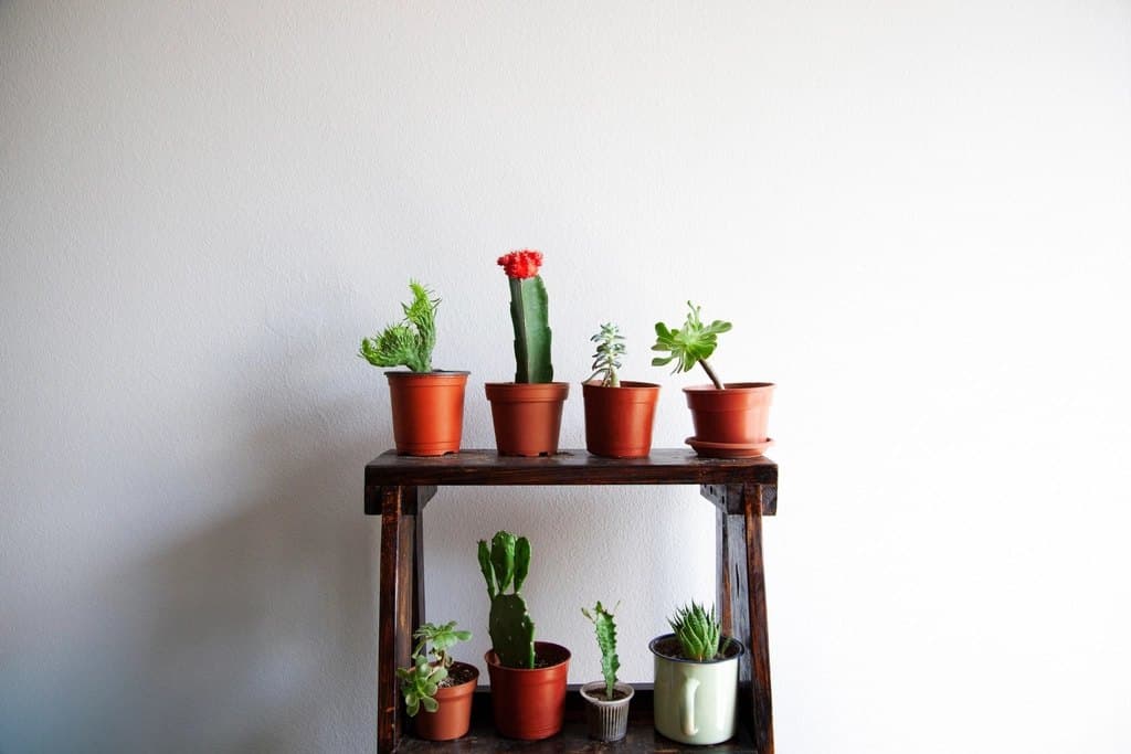 Tiered Plant Stand