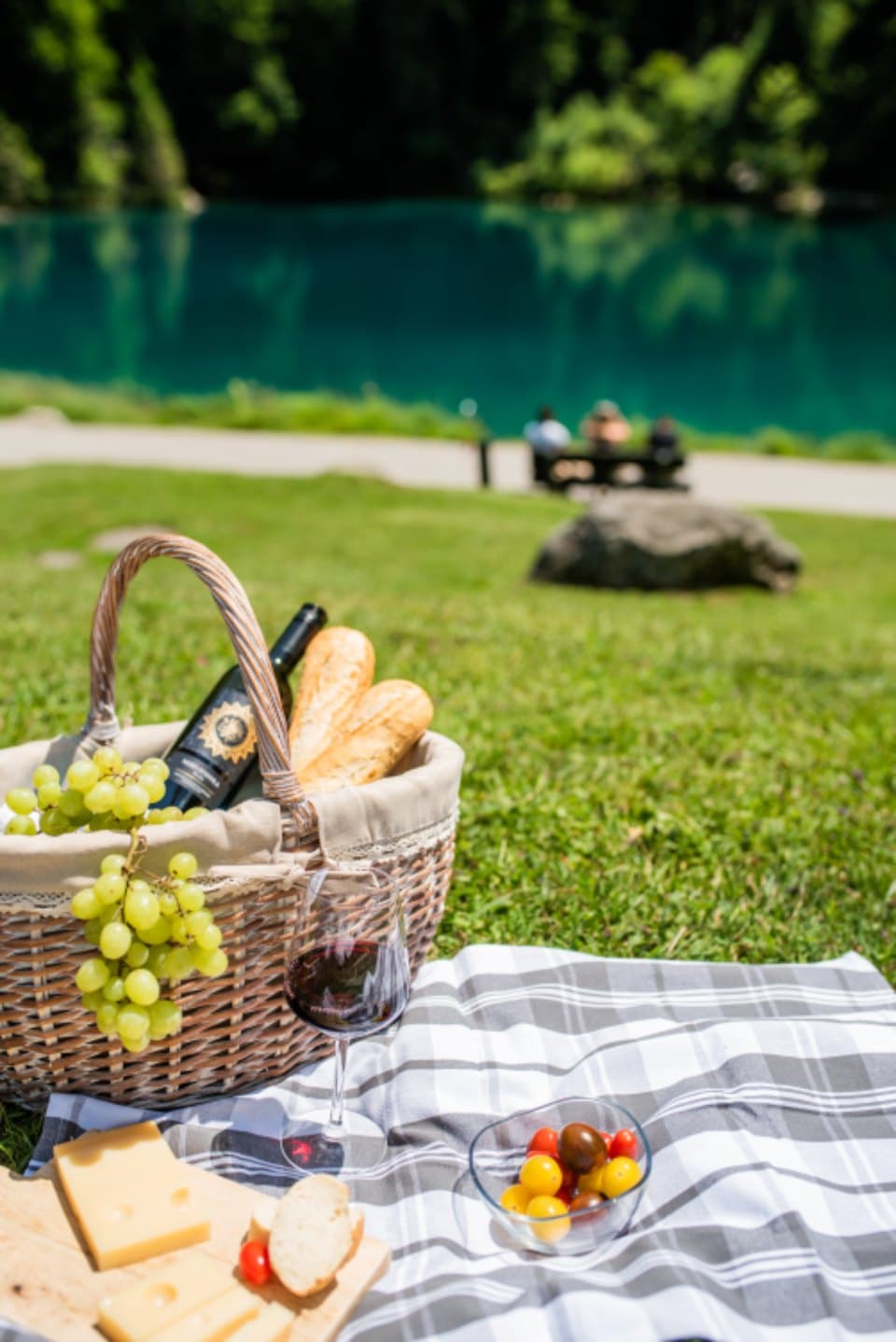 Checked Picnic Blanket